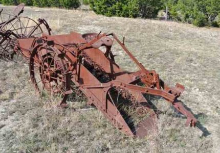 Gist Ranch Partial Dispersal Auction Image